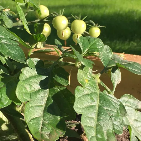 펜션 Na Wsi Mokosz 크빌체