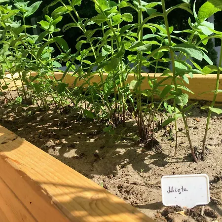 Holiday home Na Wsi Mokosz Kwilcz