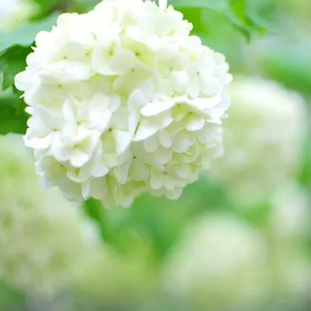 Na Wsi Mokosz 크빌체