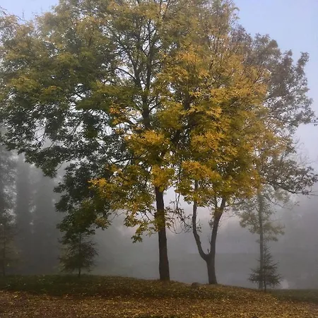 Na Wsi Mokosz Kwilcz