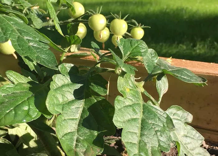 Holiday home Na Wsi Mokosz Kwilcz