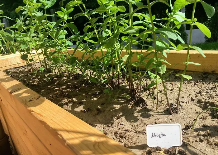 펜션 Na Wsi Mokosz 크빌체