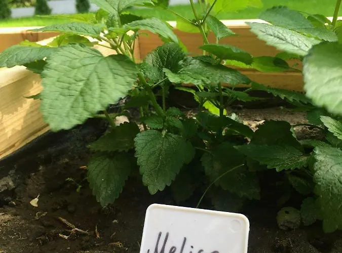 펜션 Na Wsi Mokosz