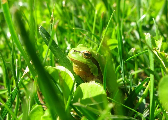 Na Wsi Mokosz 크빌체