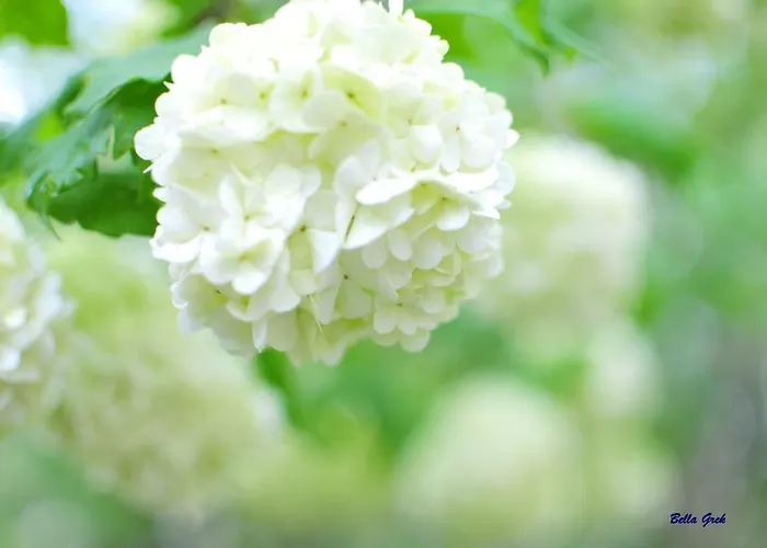 Na Wsi Mokosz 크빌체