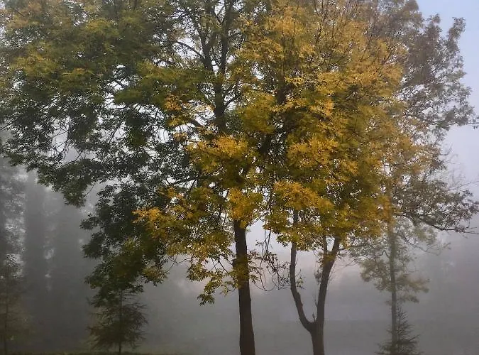 Na Wsi Mokosz Kwilcz